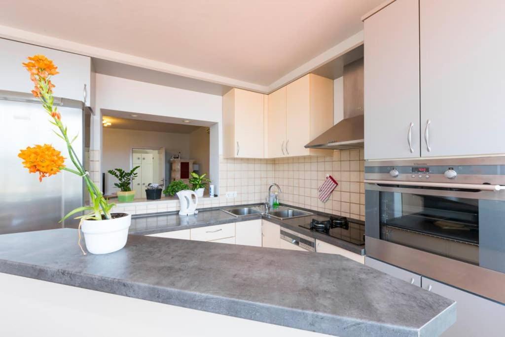 Apartment Jelka- Center Of Hvar Town Luaran gambar