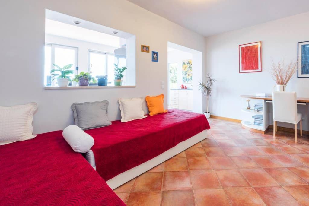 Apartment Jelka- Center Of Hvar Town Luaran gambar